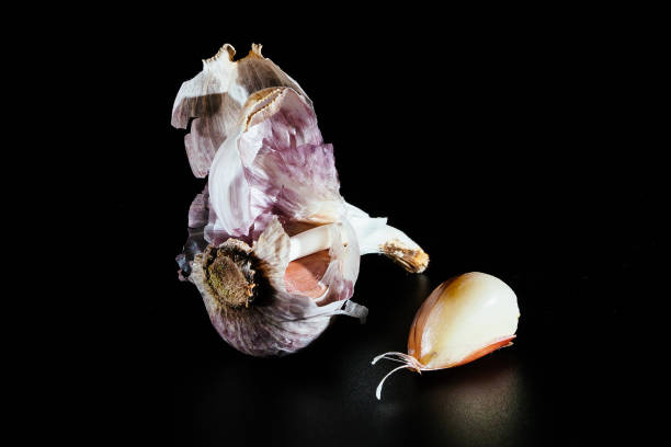 تصویر 3 از سیر صادراتی خشک با طعم قوی و ماندگاری طولانی